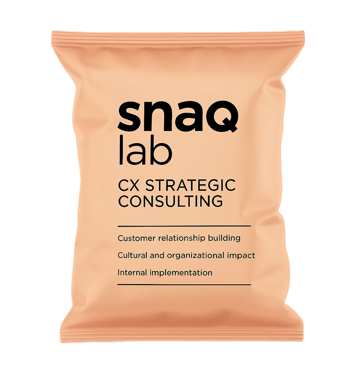 consultancy-bag